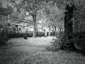 PA180040_Fotor