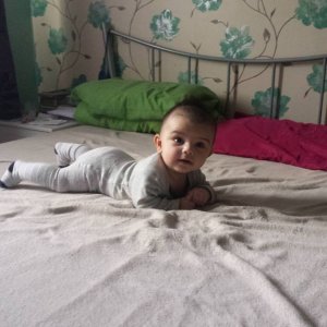 12311180_1004278096297056_3722511985751865605_n