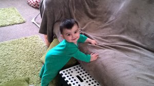 WP_20160408_09_50_02_Pro